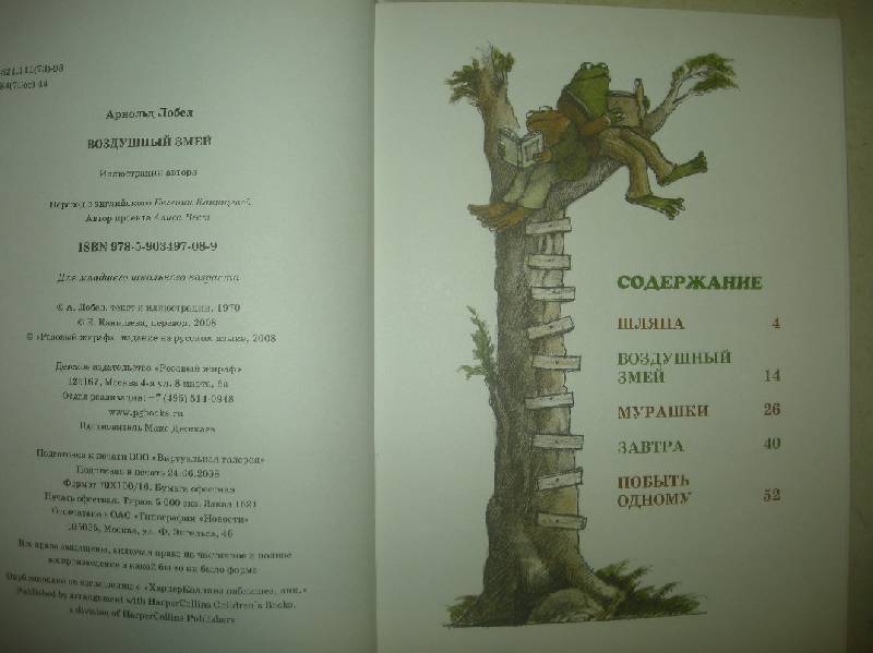 Иллюстрация 7 из 35 для Воздушный змей - Арнольд Лобел | Лабиринт - книги. Источник: Мартынова  Анна Владимировна