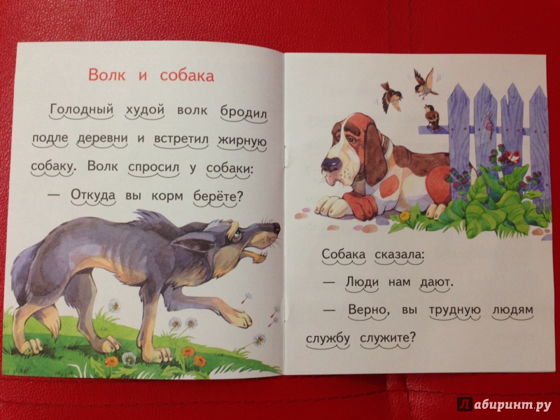 Иллюстрация 14 из 24 для Волк и собака - Лев Толстой | Лабиринт - книги. Источник: М.  Наташа