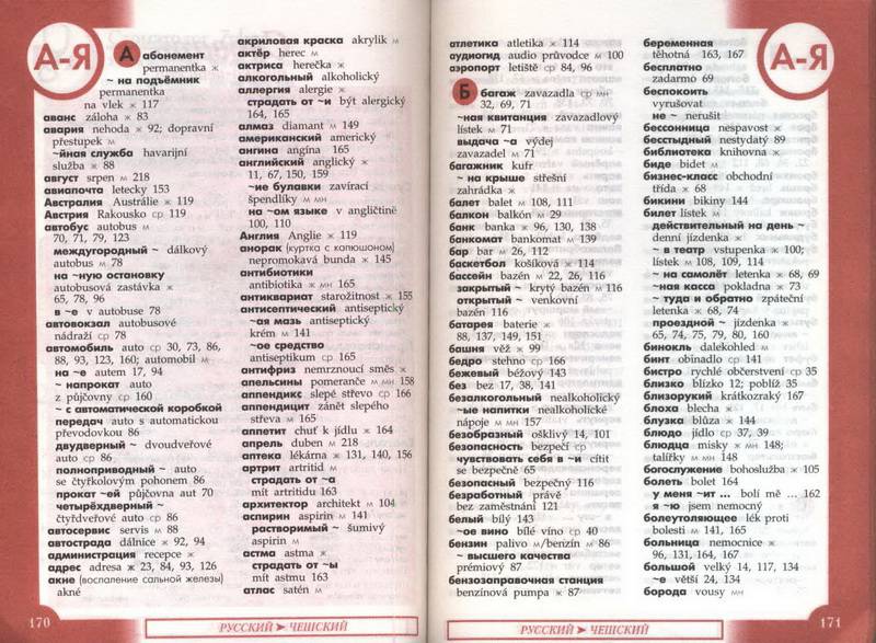 Иллюстрация 10 из 10 для Чешский разговорник и словарь | Лабиринт - книги. Источник: Ялина