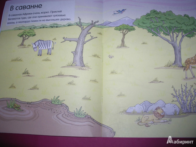 Иллюстрация 7 из 23 для Животные. Книга с наклейками (для детей от 4-х лет) | Лабиринт - книги. Источник: Tiger.