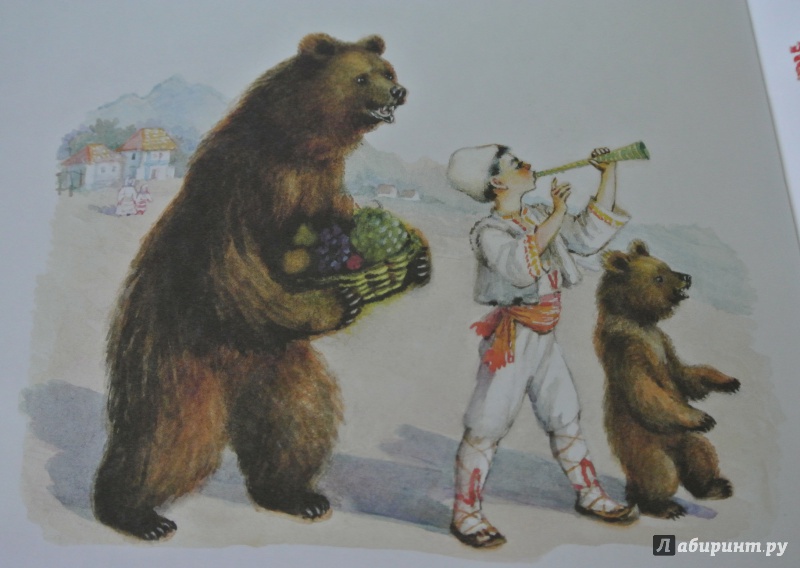 Иллюстрация 16 из 19 для Мальчик и злая медведица | Лабиринт - книги. Источник: adsveta