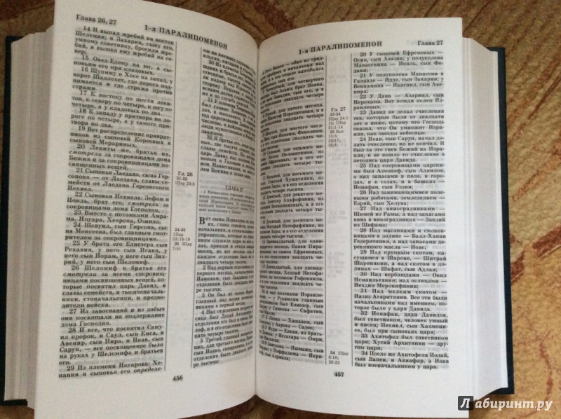 Иллюстрация 21 из 52 для Библия. Книги Священного Писания Ветхого и Нового Завета (канонические) | Лабиринт - книги. Источник: а.а.и.