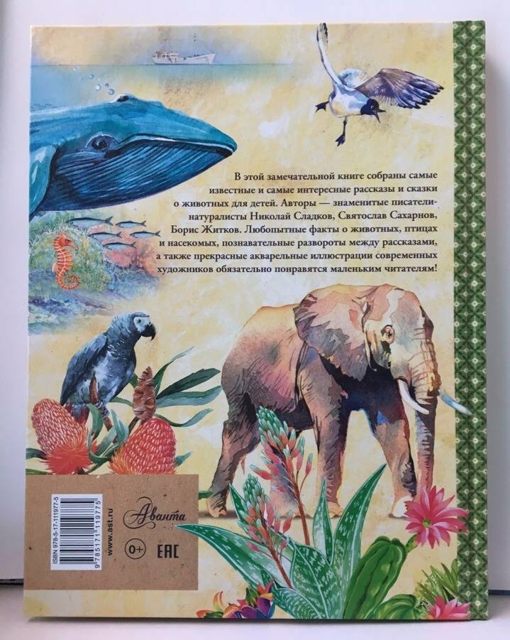 Иллюстрация 29 из 48 для Рассказы и сказки о животных - Житков, Сладков, Сахарнов | Лабиринт - книги. Источник: Лабиринт