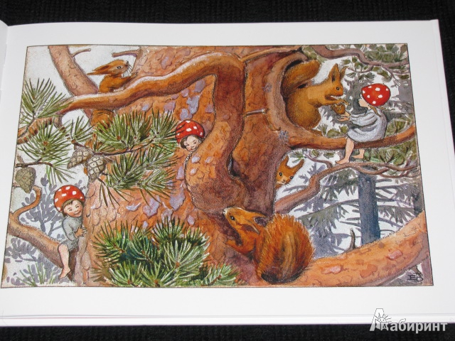 Иллюстрация 6 из 78 для Дети лесного гнома - Эльза Бесков | Лабиринт - книги. Источник: Nemertona