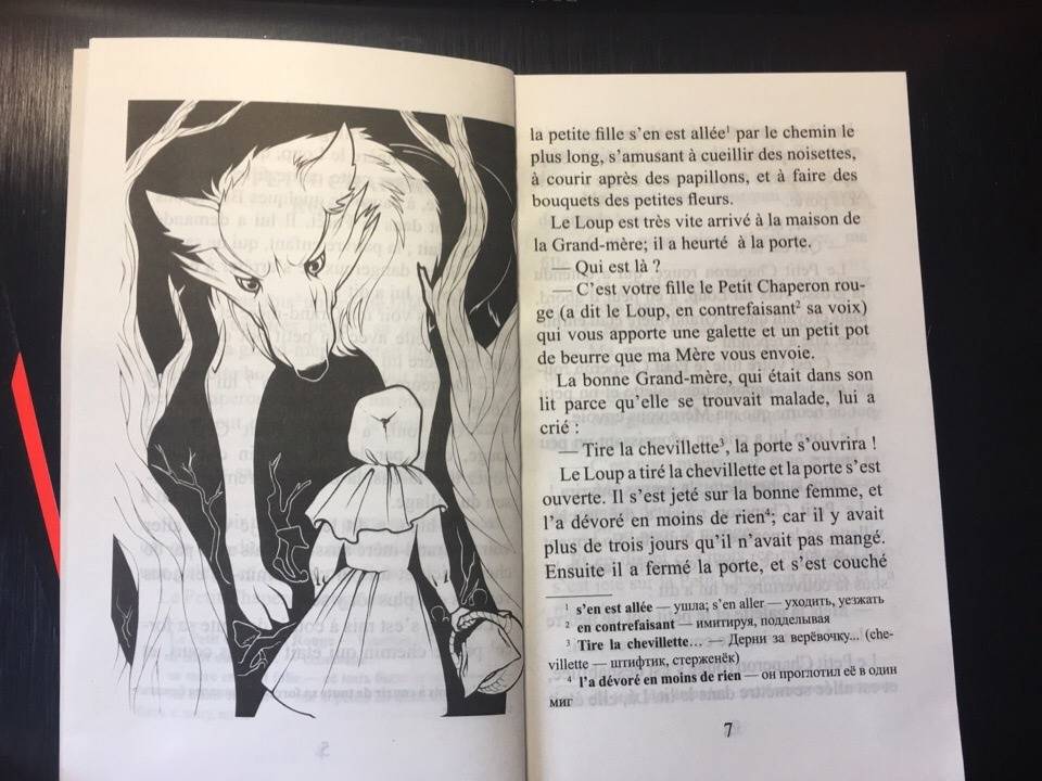 Иллюстрация 44 из 44 для Французские сказки | Лабиринт - книги. Источник: Суслова  Лена