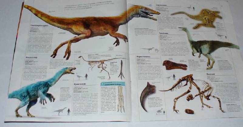 Иллюстрация 5 из 9 для Мир динозавров №3 | Лабиринт - книги. Источник: Лебедева  Мария Александровна