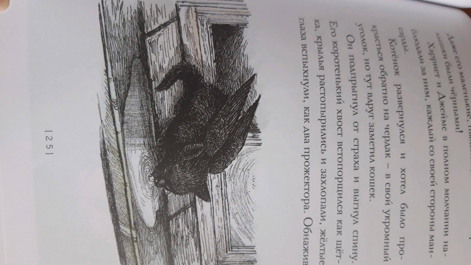 Иллюстрация 36 из 38 для Крылатые кошки возвращаются - Гуин Ле | Лабиринт - книги. Источник: Лабиринт