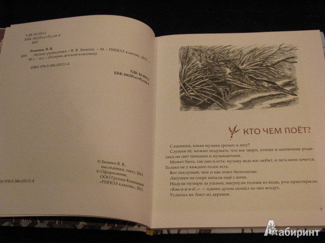 Иллюстрация 36 из 49 для Лесные разведчики - Виталий Бианки | Лабиринт - книги. Источник: Nemertona