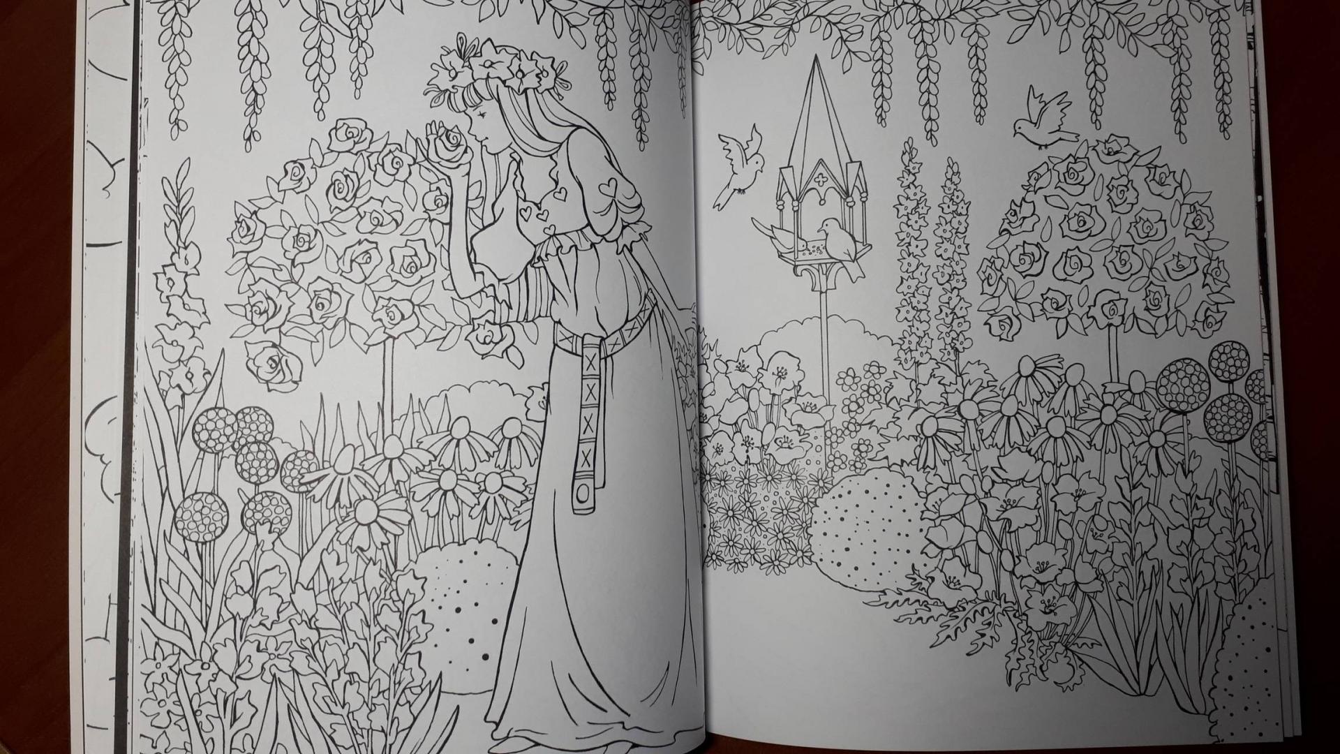 Иллюстрация 30 из 40 для Принцессы. Книжка-раскраска | Лабиринт - книги. Источник: Alenta  Valenta