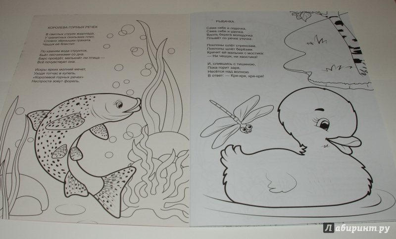 Иллюстрация 3 из 11 для Форелевая речка - Н. Красильников | Лабиринт - книги. Источник: Лабиринт