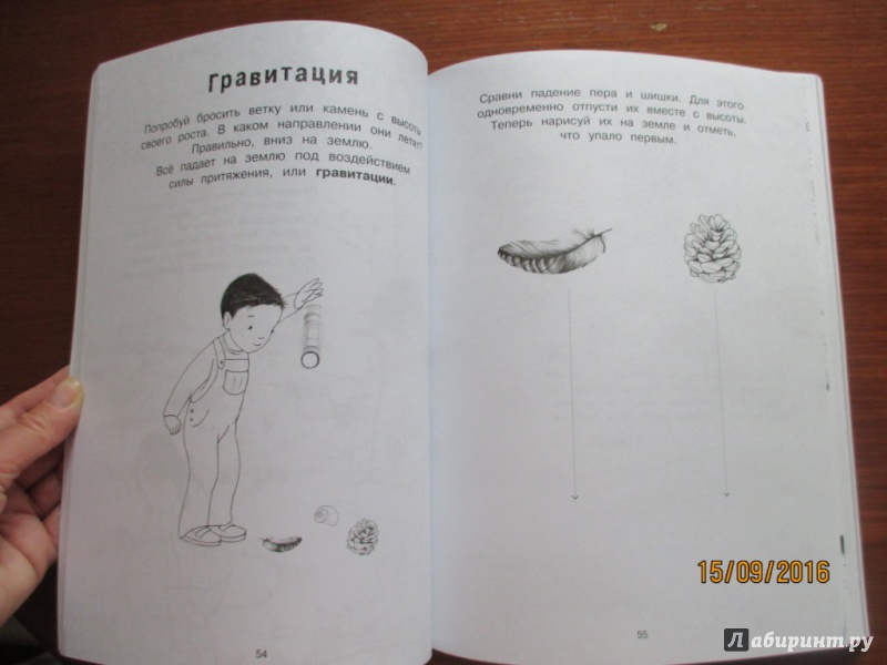 Иллюстрация 23 из 33 для Я учусь с Montessori - Эва Эррманн | Лабиринт - книги. Источник: Марина Епифанцева