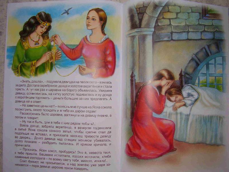 Иллюстрация 31 из 32 для Перышко Финиста-Ясна сокола | Лабиринт - книги. Источник: ИринаС