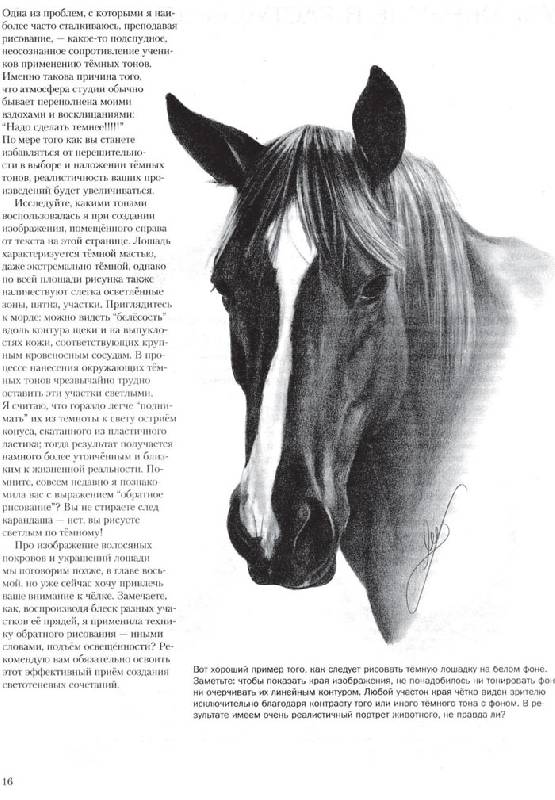 Иллюстрация 5 из 24 для Учимся рисовать лошадей вместе с Ли Хэммонд - Ли Хэммонд | Лабиринт - книги. Источник: Кнопа2