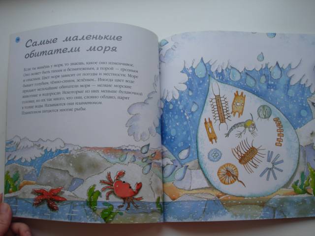 Иллюстрация 31 из 32 для Море - Нуриа Рока | Лабиринт - книги. Источник: Осьминожка