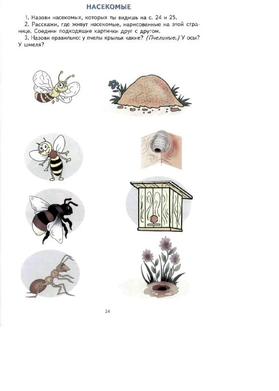 Занятие насекомые в подготовительной группе. Насекомые логопедические задания для дошкольников. Насекомые задания логопеда для дошкольников. Задания на тему насекомые для дошкольников. Задания по теме насекомые для дошкольников.