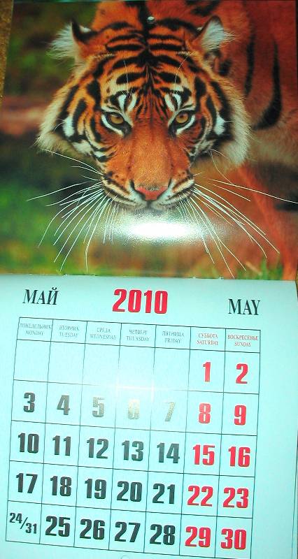Иллюстрация 6 из 14 для Календарь 2010 Год тигра (0607) | Лабиринт - сувениры. Источник: Tamara