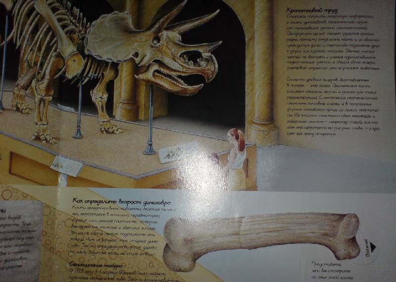 Иллюстрация 6 из 29 для Динозавры | Лабиринт - книги. Источник: Настёна