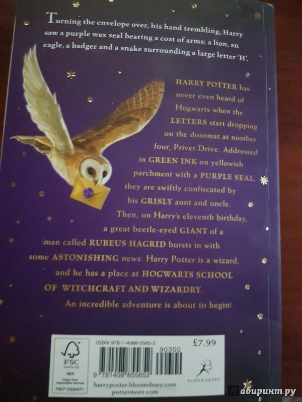 Иллюстрация 13 из 33 для Harry Potter and the Philosopher's Stone - Joanne Rowling | Лабиринт - книги. Источник: Долгова Анастасия