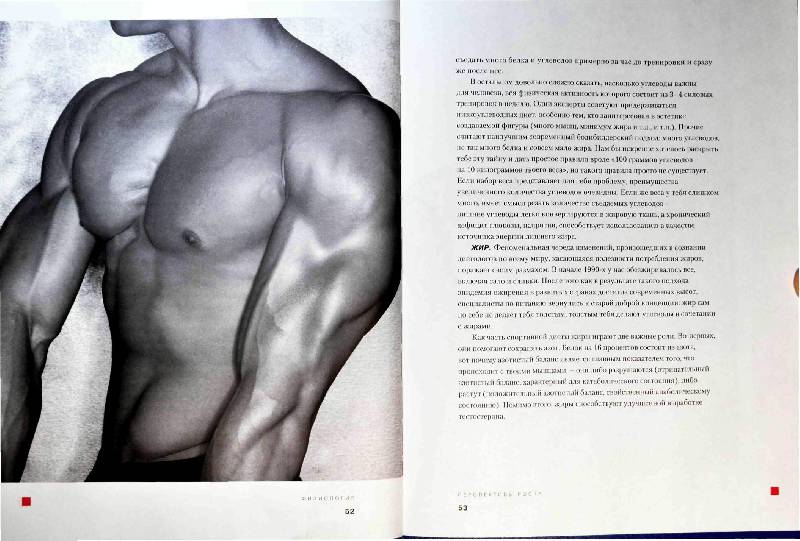 Иллюстрация 22 из 33 для Большая книга мышц - Кинг, Шулер | Лабиринт - книги. Источник: Юта