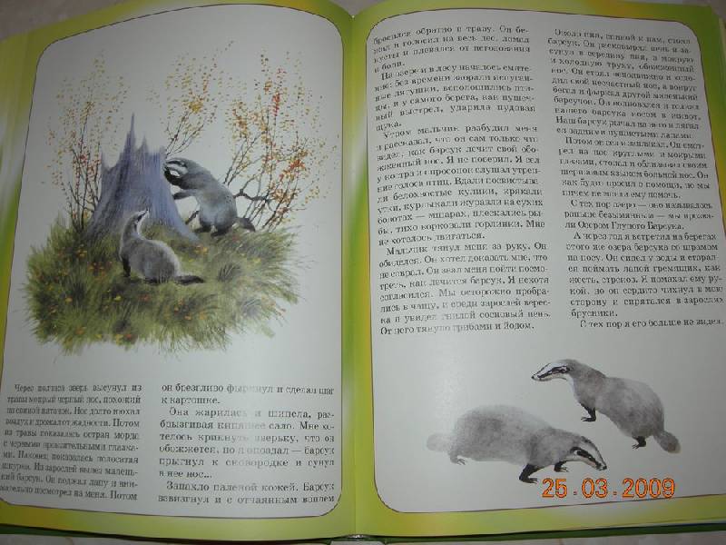 Иллюстрация 22 из 29 для Ребятам про зверят | Лабиринт - книги. Источник: Соловей