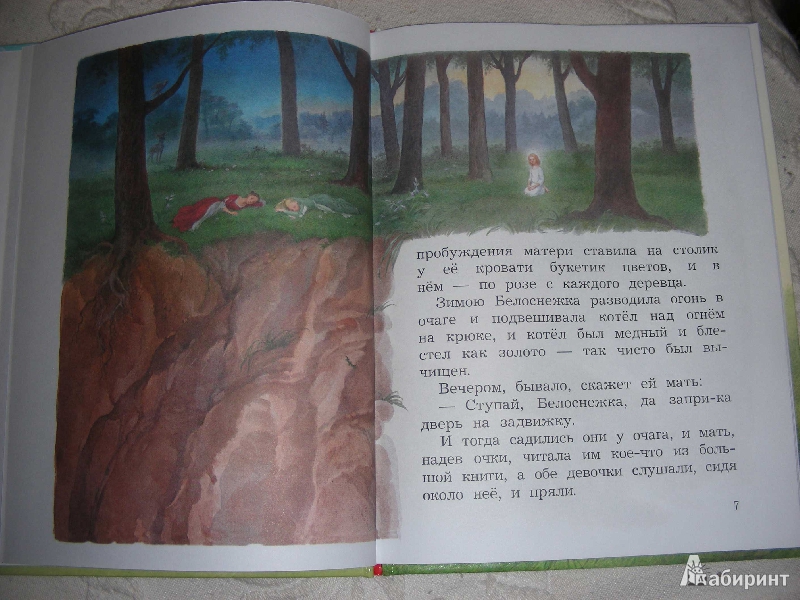 Иллюстрация 2 из 15 для Белоснежка и Розочка - Гримм Якоб и Вильгельм | Лабиринт - книги. Источник: Julia Shilova