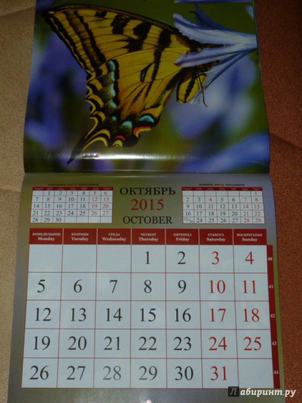 Иллюстрация 11 из 15 для Календарь 2015. Бабочки (12 листов) | Лабиринт - сувениры. Источник: elenak