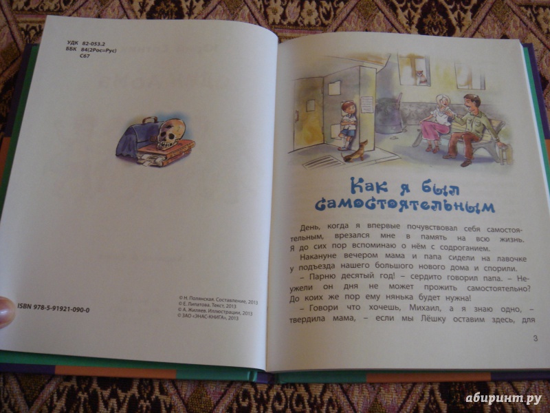 Иллюстрация 3 из 20 для Один дома - Юрий Сотник | Лабиринт - книги. Источник: Волкова  Алена