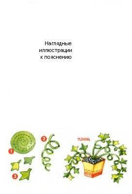 Иллюстрация 2 из 8 для Бумажный кактус - Татьяна Рогаткина | Лабиринт - книги. Источник: Пчёлка Майя