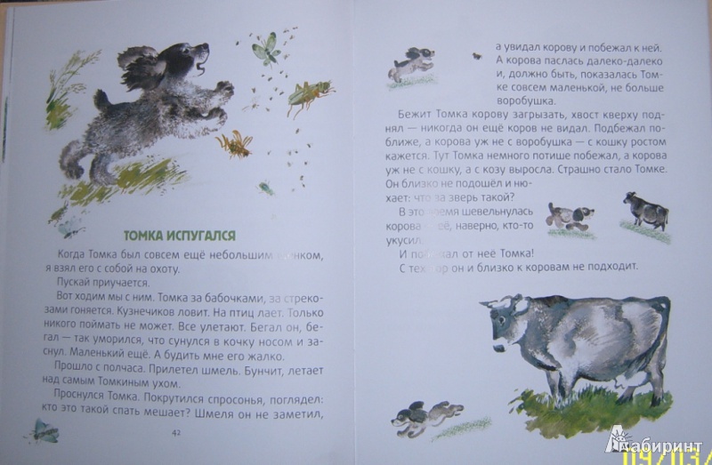Иллюстрация 10 из 16 для Тюпа, Томка и Сорока - Евгений Чарушин | Лабиринт - книги. Источник: Elizabeth Bennet