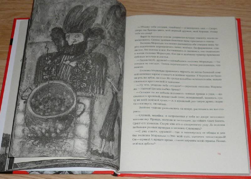 Иллюстрация 15 из 58 для Подземный принц - Софья Прокофьева | Лабиринт - книги. Источник: Pam