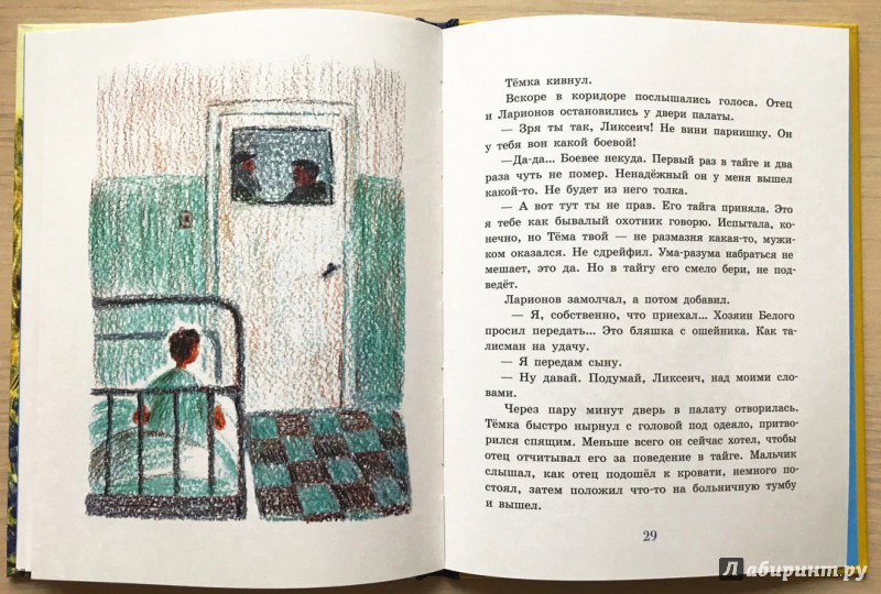 Иллюстрация 27 из 29 для Сын тайги - Наталья Шицкая | Лабиринт - книги. Источник: Книжный шкаф детям