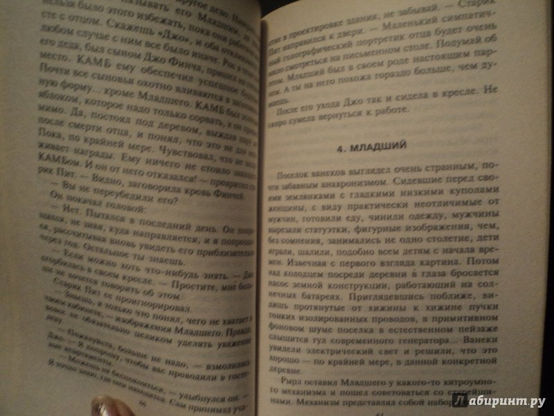 Иллюстрация 42 из 44 для Колесо в колесе - Ф. Вилсон | Лабиринт - книги. Источник: Смирнов  Александр