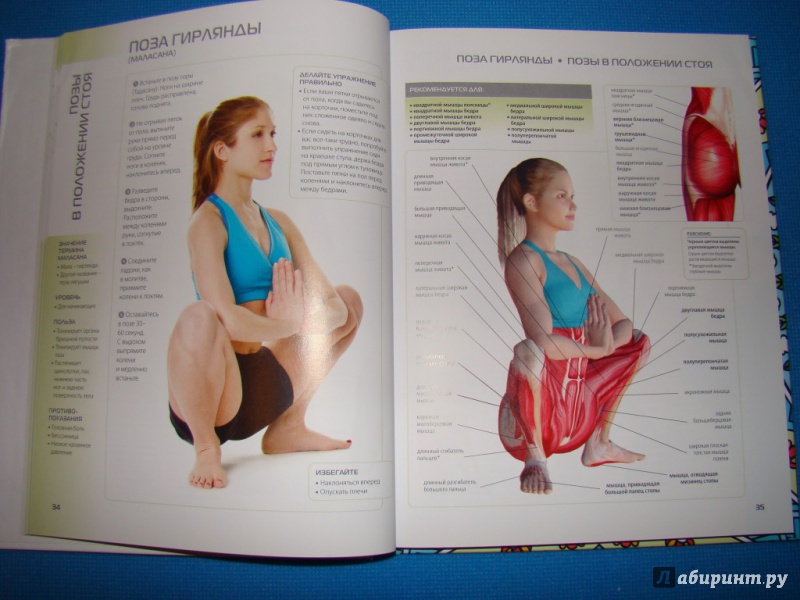Иллюстрация 17 из 60 для Наглядная йога. 50 базовых асан с анатомическими иллюстрациями - Абигейл Эллсуорт | Лабиринт - книги. Источник: WhiteOwl