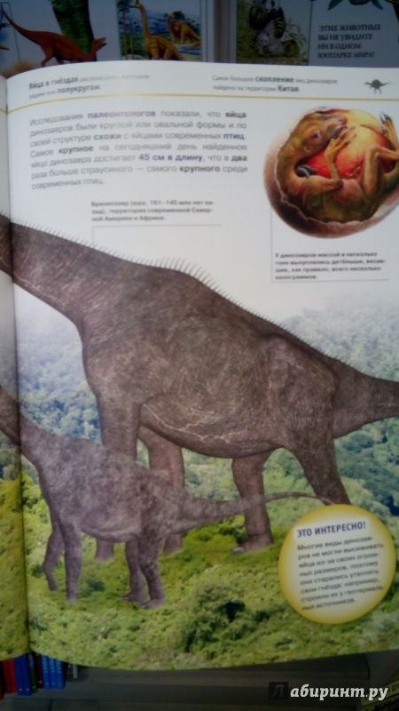 Иллюстрация 12 из 21 для Динозавры - Виктория Владимирова | Лабиринт - книги. Источник: Мила