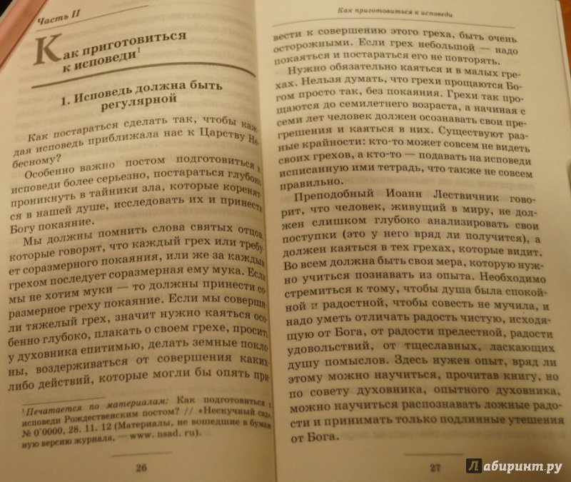 Иллюстрация 10 из 45 для Таинство Божественной любви. Беседы об исповеди - Епископ Орехово-Зуевский Пантелеимон (Шатов) | Лабиринт - книги. Источник: Дарья