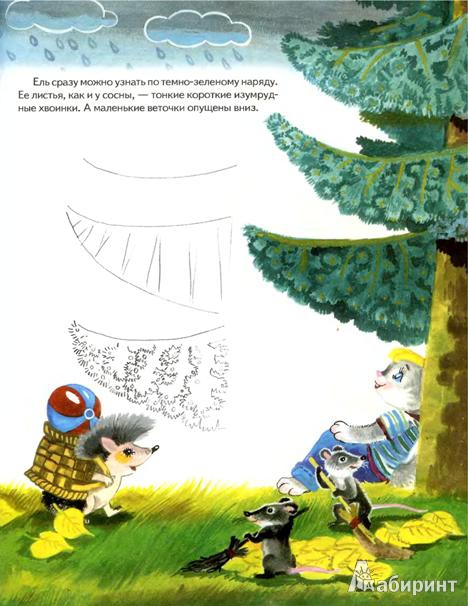 Иллюстрация 8 из 31 для Школа рисования. Шаг за шагом - Рузанна Адамянц | Лабиринт - книги. Источник: Низамутдинова  Олия