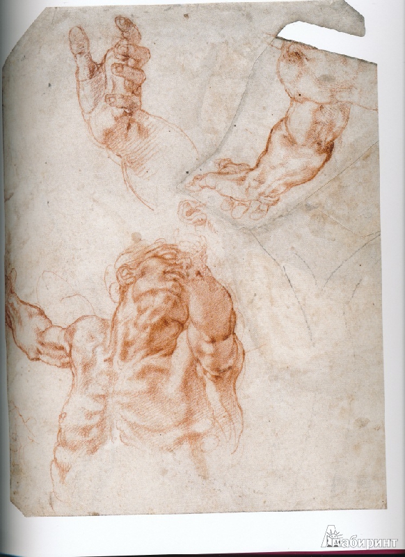 Иллюстрация 11 из 16 для Michelangelo 1475-1564. Universal Genius of the Renaissance - Gilles Neret | Лабиринт - книги. Источник: Rishka Amiss