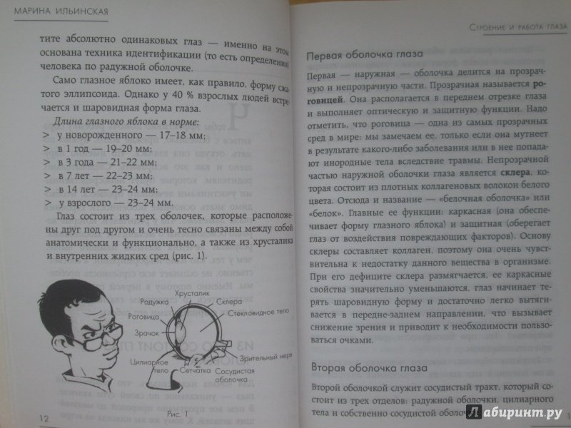 Иллюстрация 18 из 25 для Как учиться и не испортить зрение - Марина Ильинская | Лабиринт - книги. Источник: NiNon