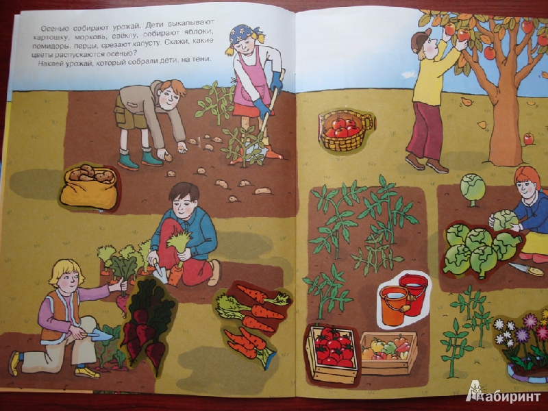 Иллюстрация 9 из 9 для Сад, огород | Лабиринт - книги. Источник: Иринич  Лариса Павловна