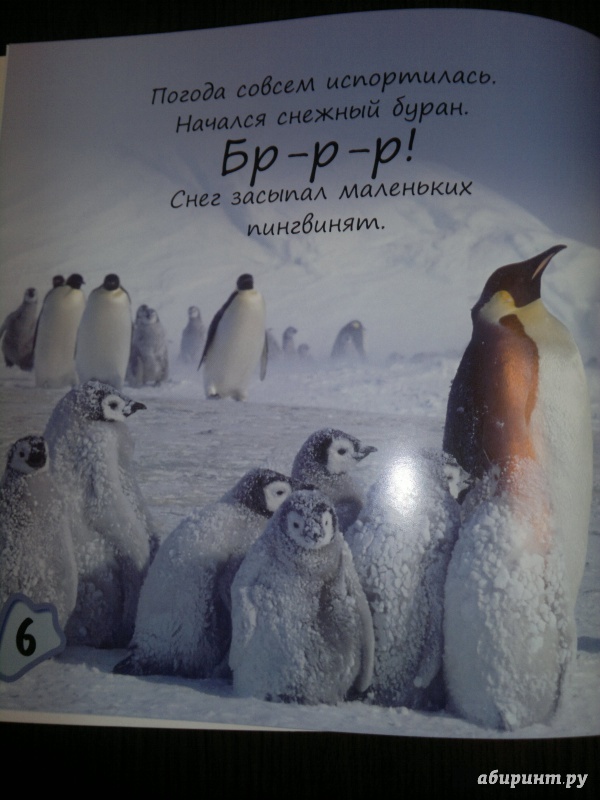 Иллюстрация 7 из 22 для Пингвиненок покоряет Антарктиду - Майкл Тейтелбаум | Лабиринт - книги. Источник: Книголюбительница