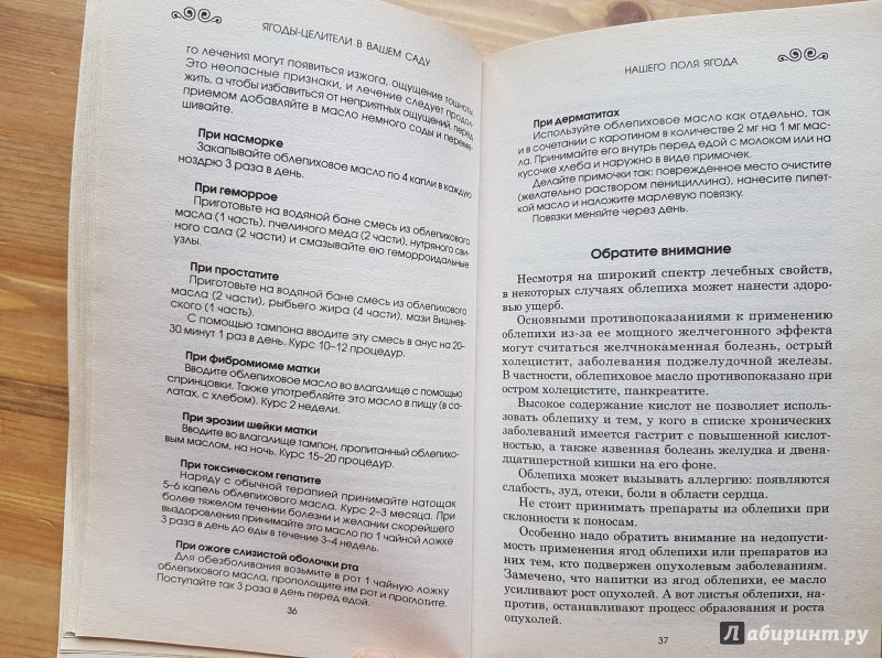 Иллюстрация 8 из 8 для Ягоды-целители в вашем саду - Ольга Романова | Лабиринт - книги. Источник: Алексей Гапеев