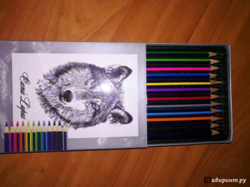 Иллюстрация 39 из 55 для Набор цветных карандашей, 12 цветов "Волк" (32870-12) | Лабиринт - канцтовы. Источник: Евгения