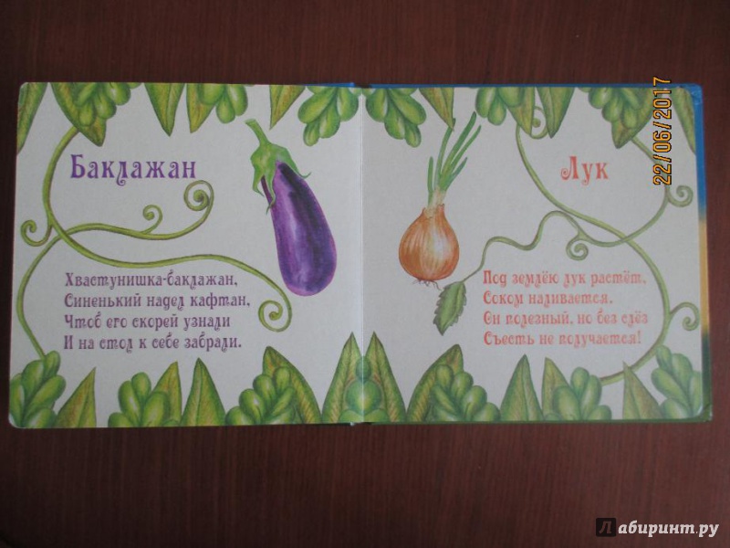 Иллюстрация 3 из 6 для Овощи - Наталья Курлат | Лабиринт - книги. Источник: Марина Епифанцева