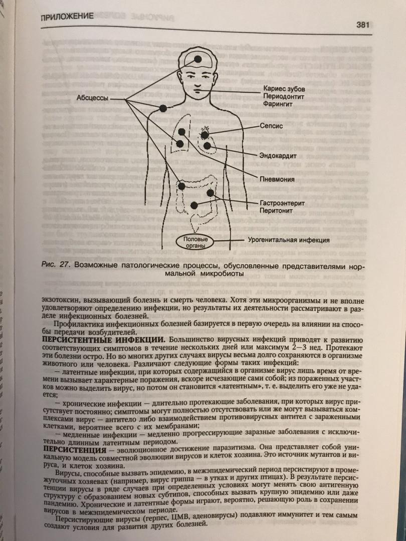 Иллюстрация 31 из 31 для Вирусные болезни человека - Лобзин, Белозеров, Беляева | Лабиринт - книги. Источник: Ромыдтчъ