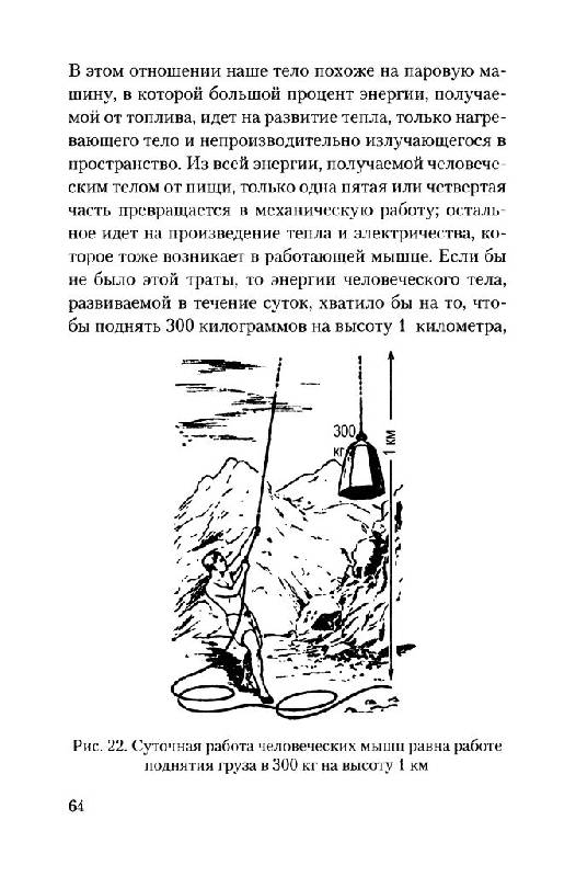 Иллюстрация 7 из 40 для Занимательная физиология - Александр Никольский | Лабиринт - книги. Источник: Юта
