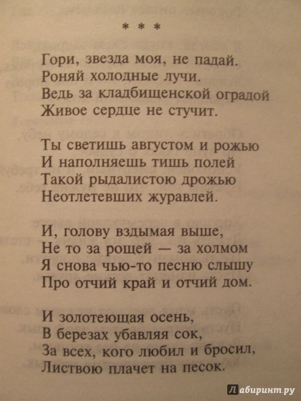 Иллюстрация 21 из 32 для Стихотворения и поэмы - Сергей Есенин | Лабиринт - книги. Источник: NiNon