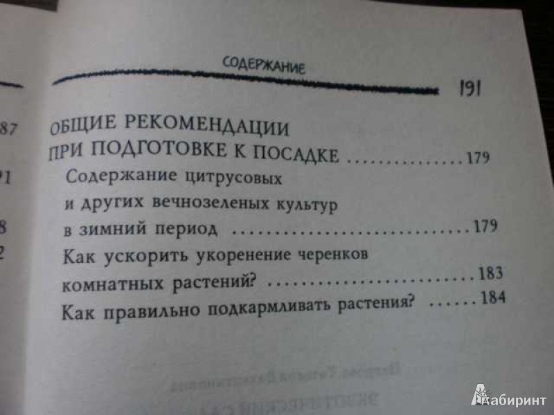 Иллюстрация 6 из 33 для Экзотический сад на балконе. Доступная роскошь - Татьяна Петрова | Лабиринт - книги. Источник: klmasha