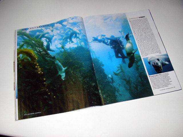 Иллюстрация 22 из 40 для Океаны (DVD+Blu-ray) - Перрен, Клюзо | Лабиринт - . Источник: Валерия