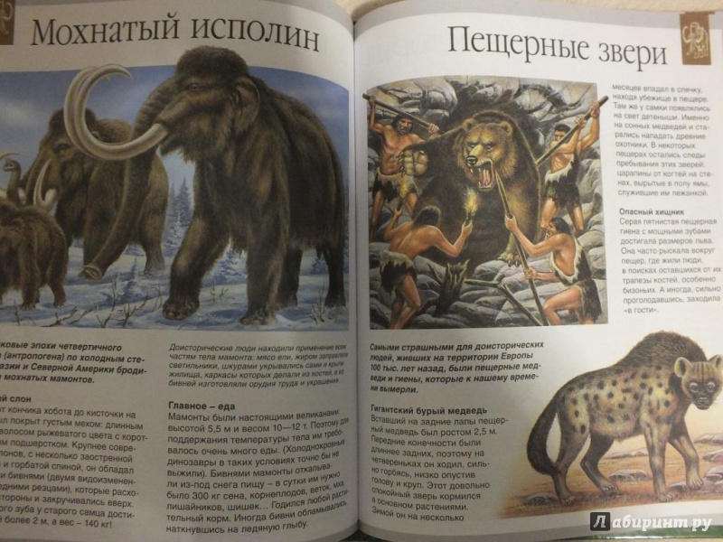 Иллюстрация 32 из 36 для Динозавры - Лора Камбурнак | Лабиринт - книги. Источник: Галимова  Елена Александровна