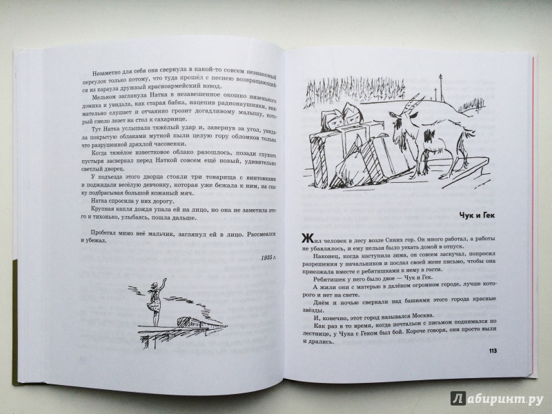 Иллюстрация 21 из 36 для Военная тайна - Аркадий Гайдар | Лабиринт - книги. Источник: Ищенко  Татьяна